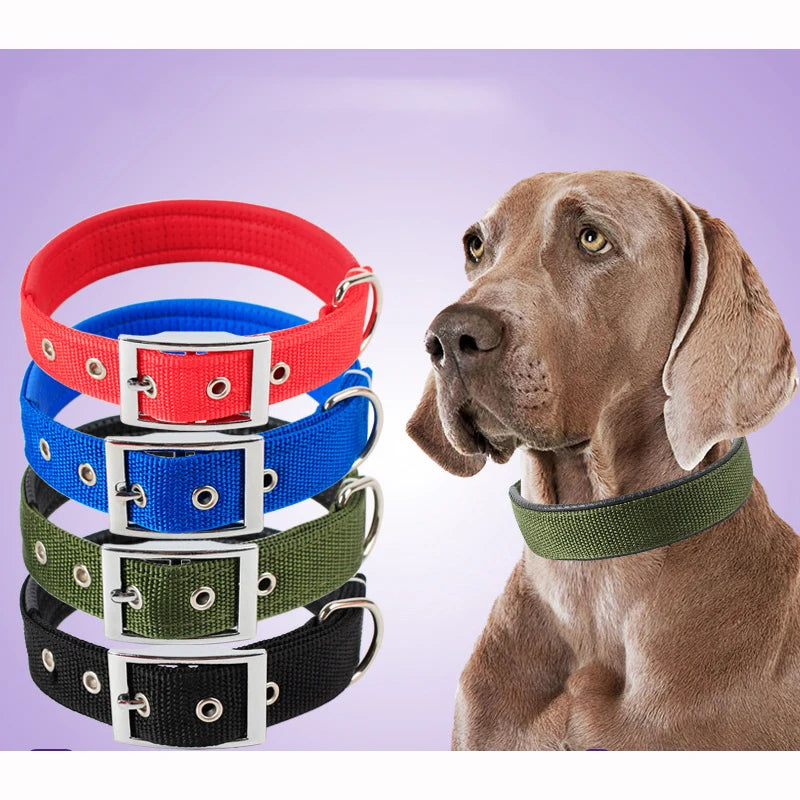 Solid Dog Nylon Collar