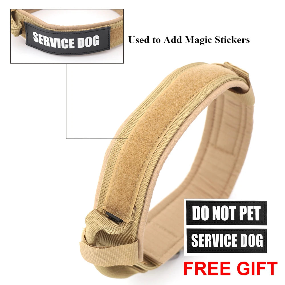 Dog Training Tactical Collar