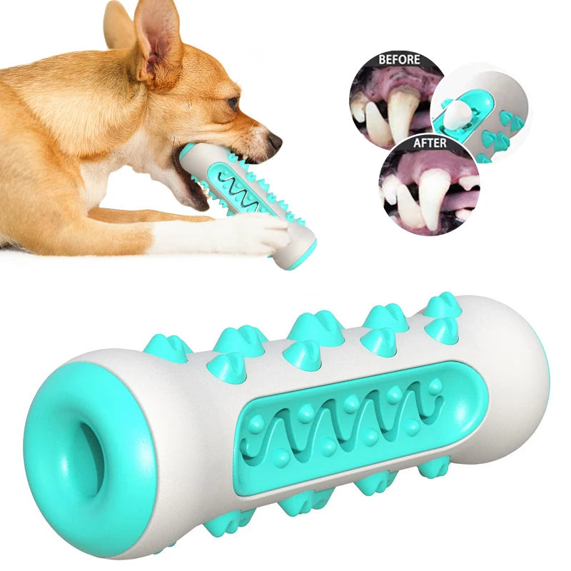 Dog Molar Toothbrush Chew Toy