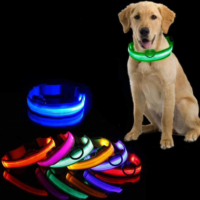 Anti-lost Led Dog Collar