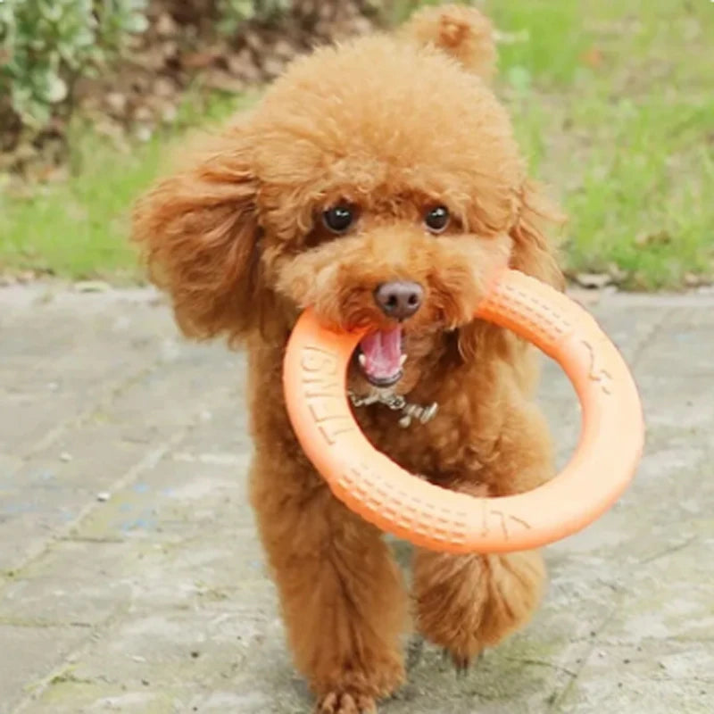 Pet Flying Training Ring