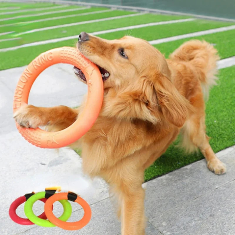 Pet Flying Training Ring