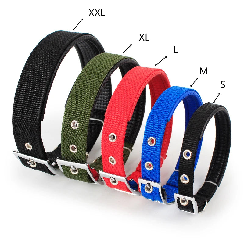 Solid Dog Nylon Collar