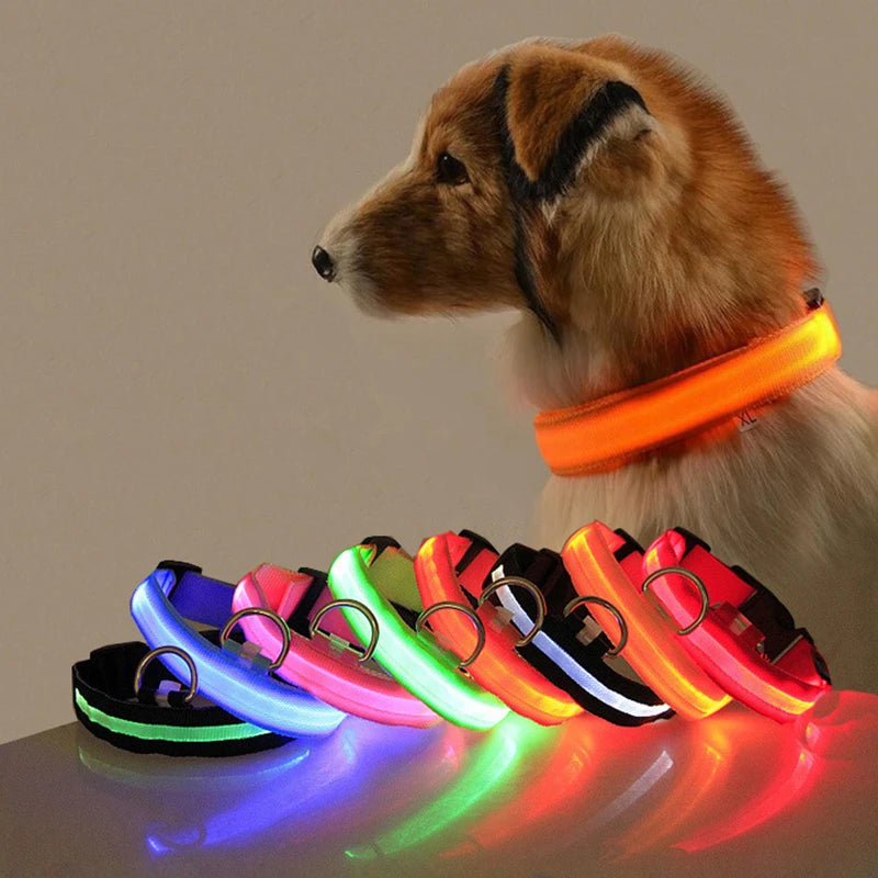 Anti-lost Led Dog Collar