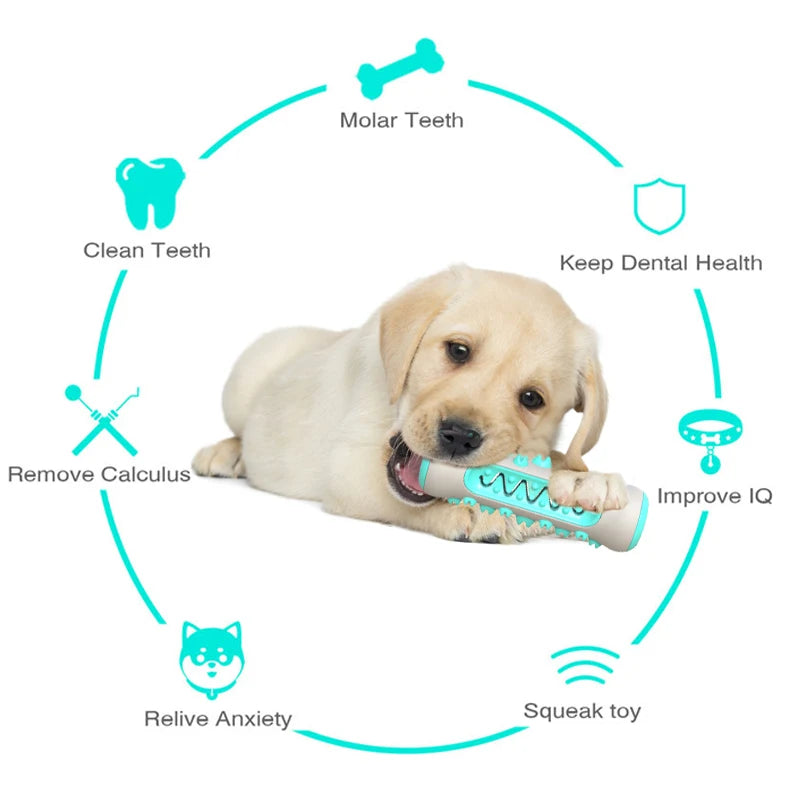 Dog Molar Toothbrush Chew Toy