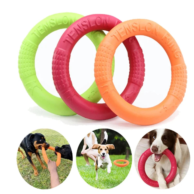 Pet Flying Training Ring