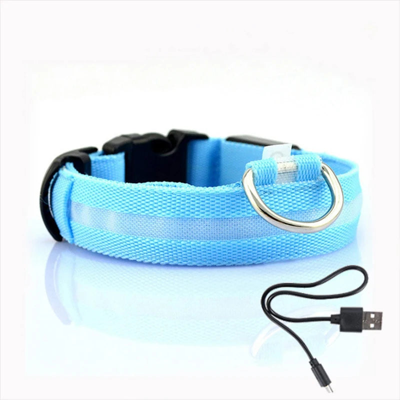 Anti-lost Led Dog Collar