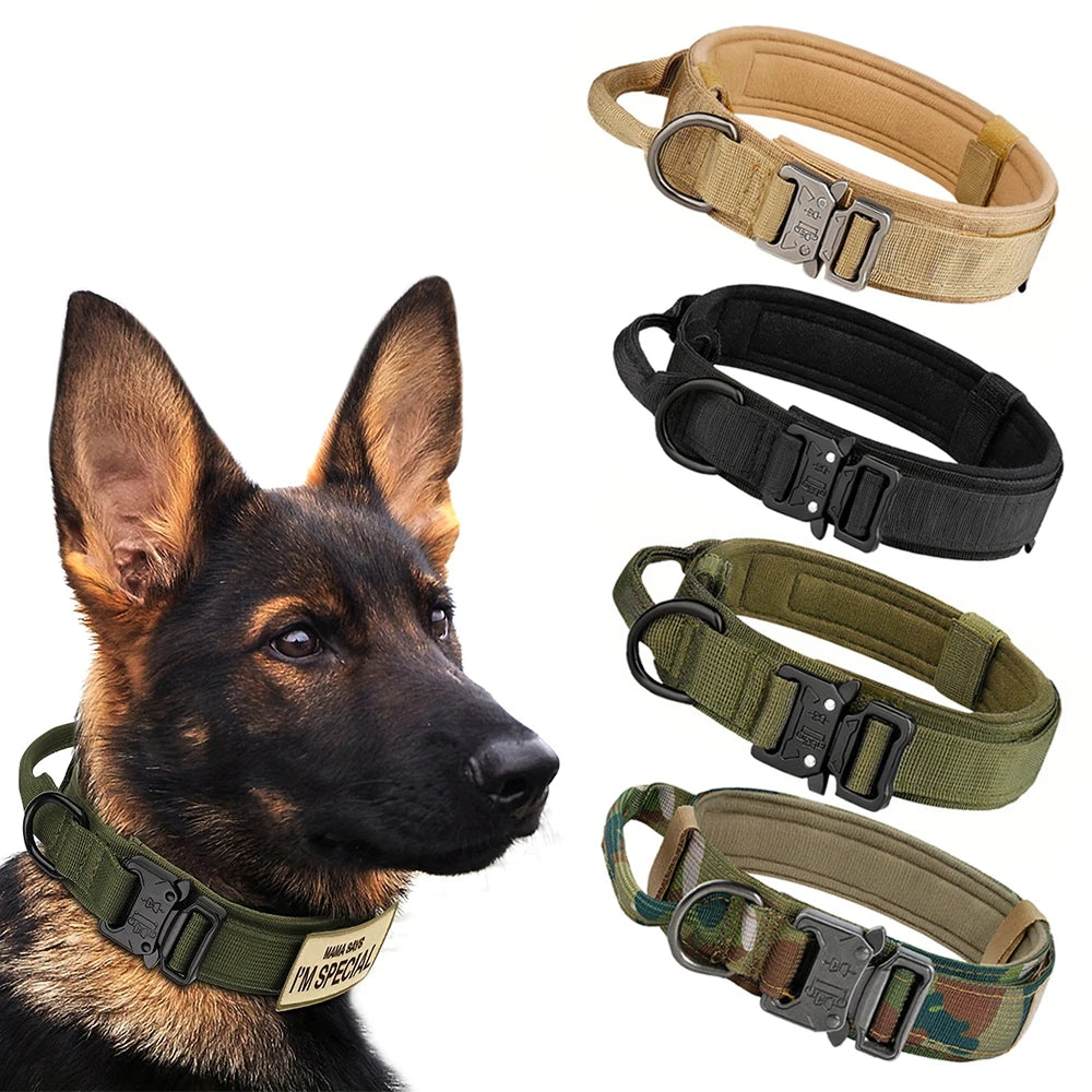 Dog Training Tactical Collar