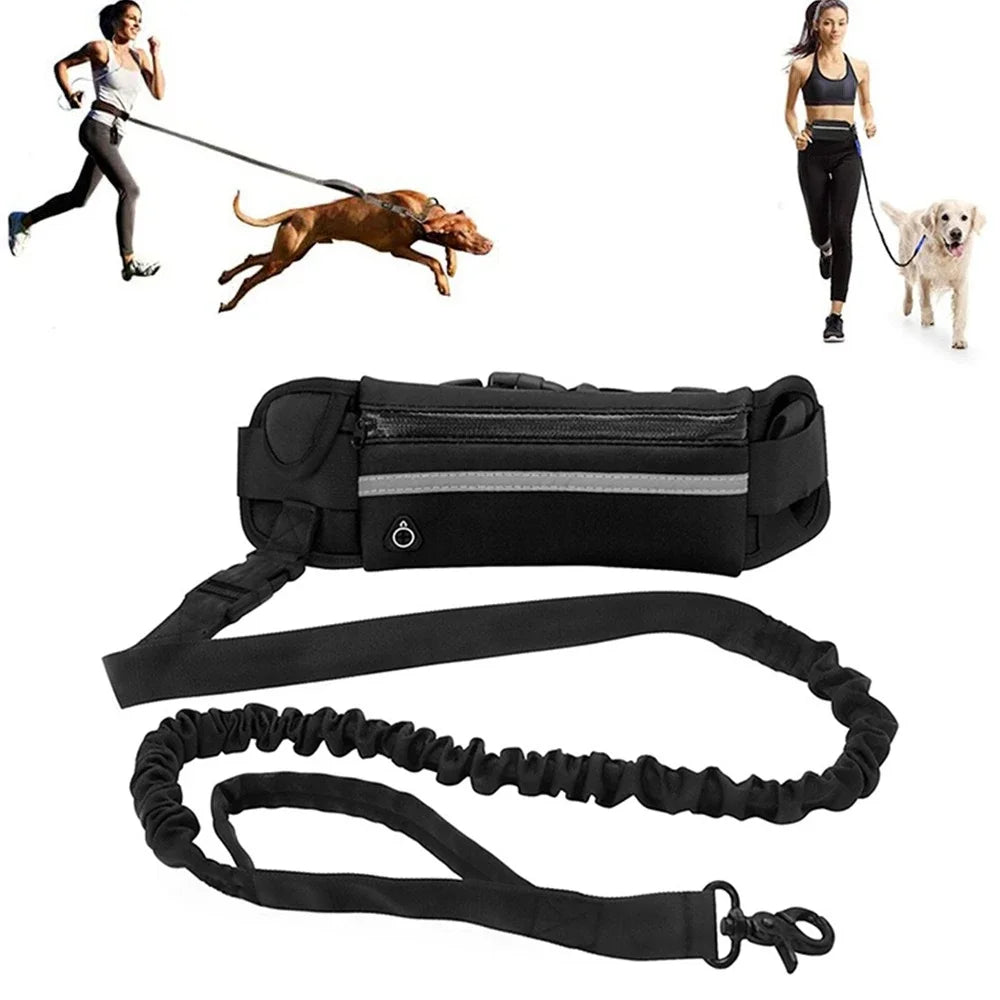 Hands Free Dog Running Leash