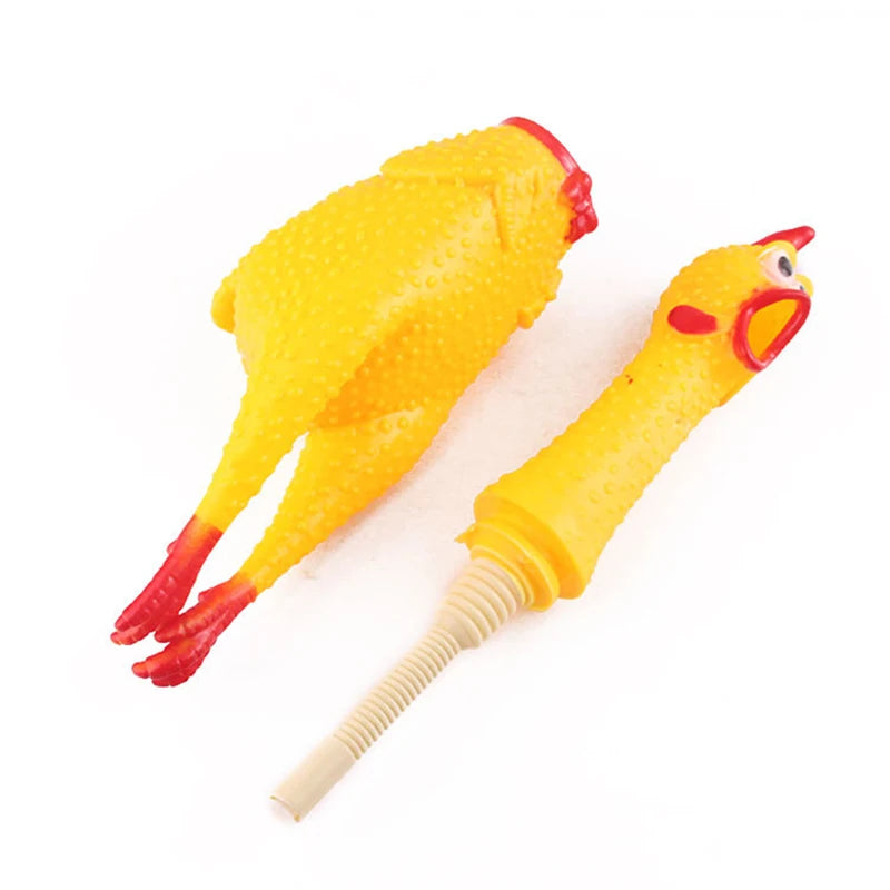 Dog Screaming Chicken Toy