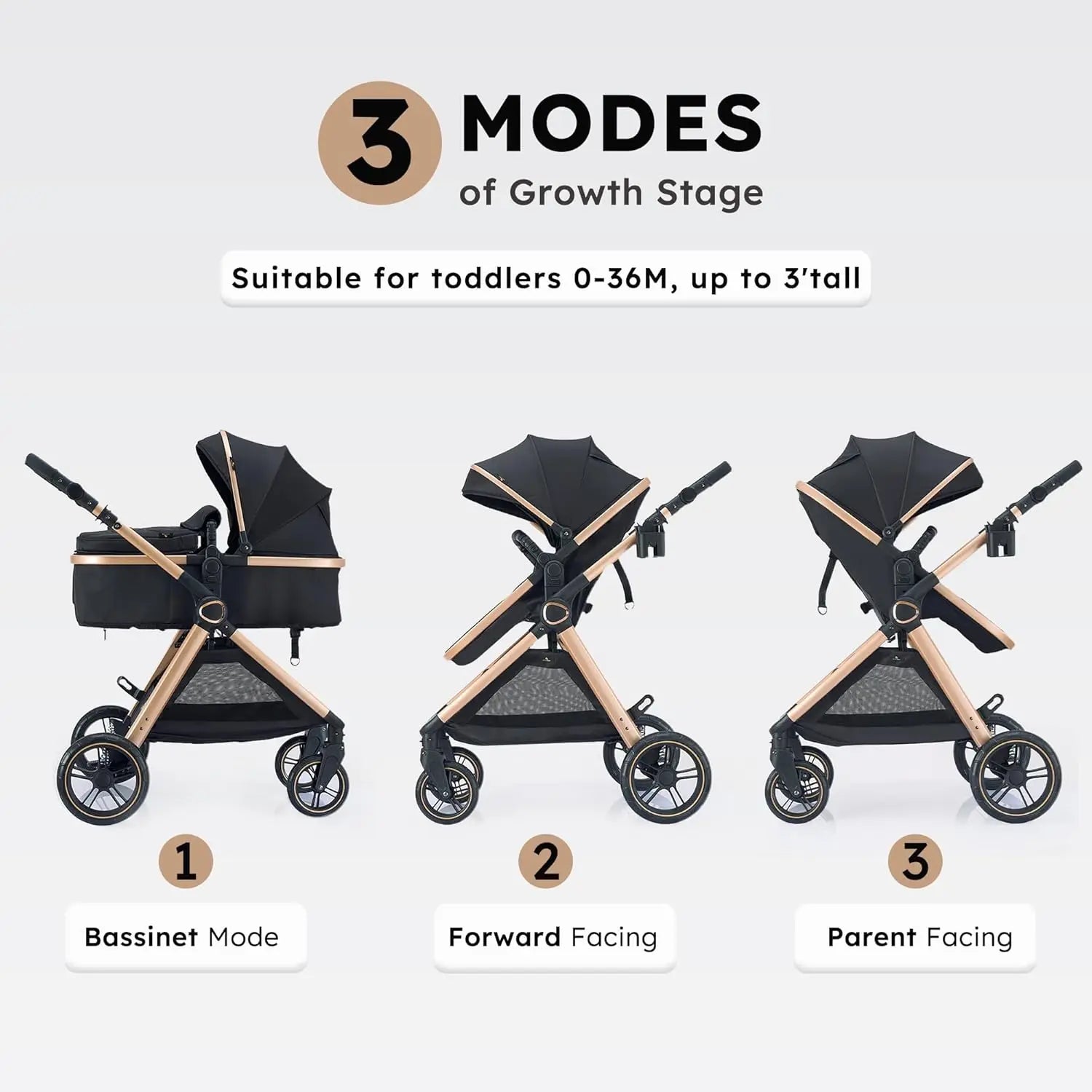 Baby 2 in 1 Stroller