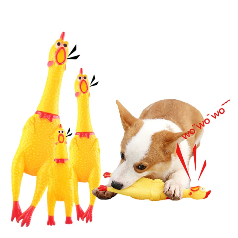 Dog Screaming Chicken Toy