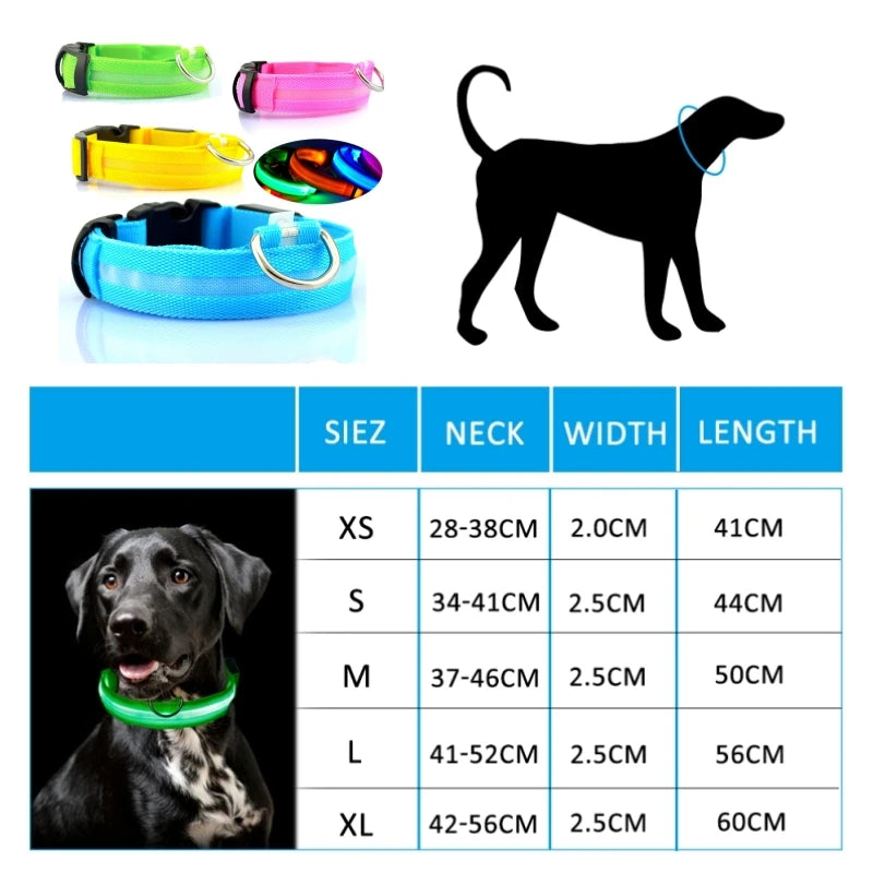 Anti-lost Led Dog Collar