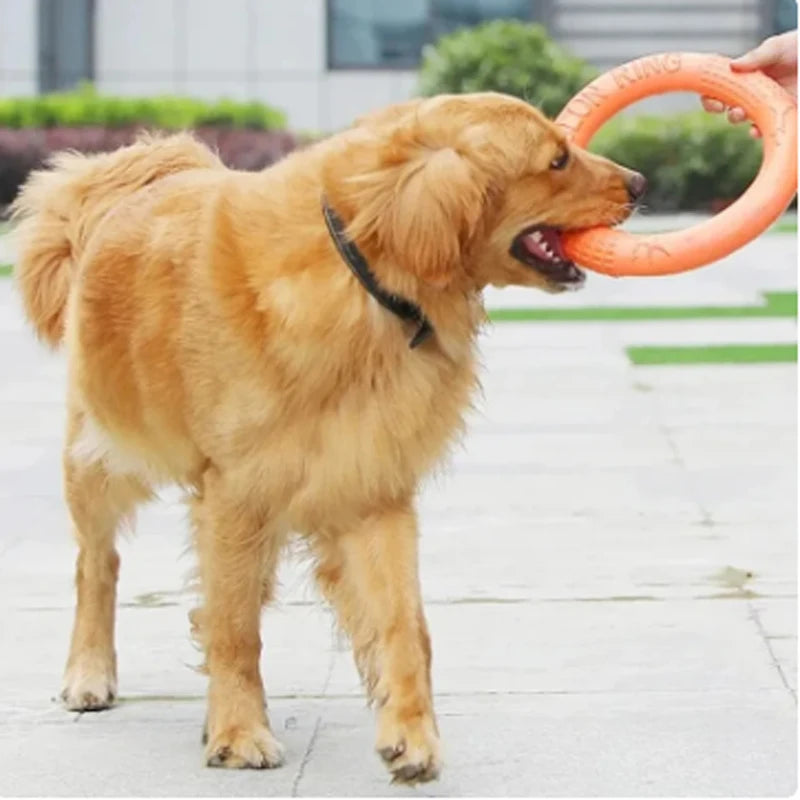 Pet Flying Training Ring