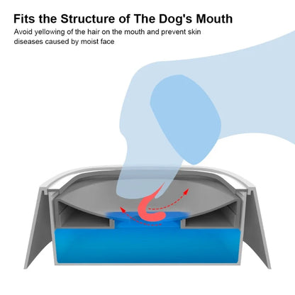 Dog Drinking Water Bowl