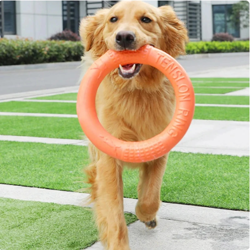 Pet Flying Training Ring