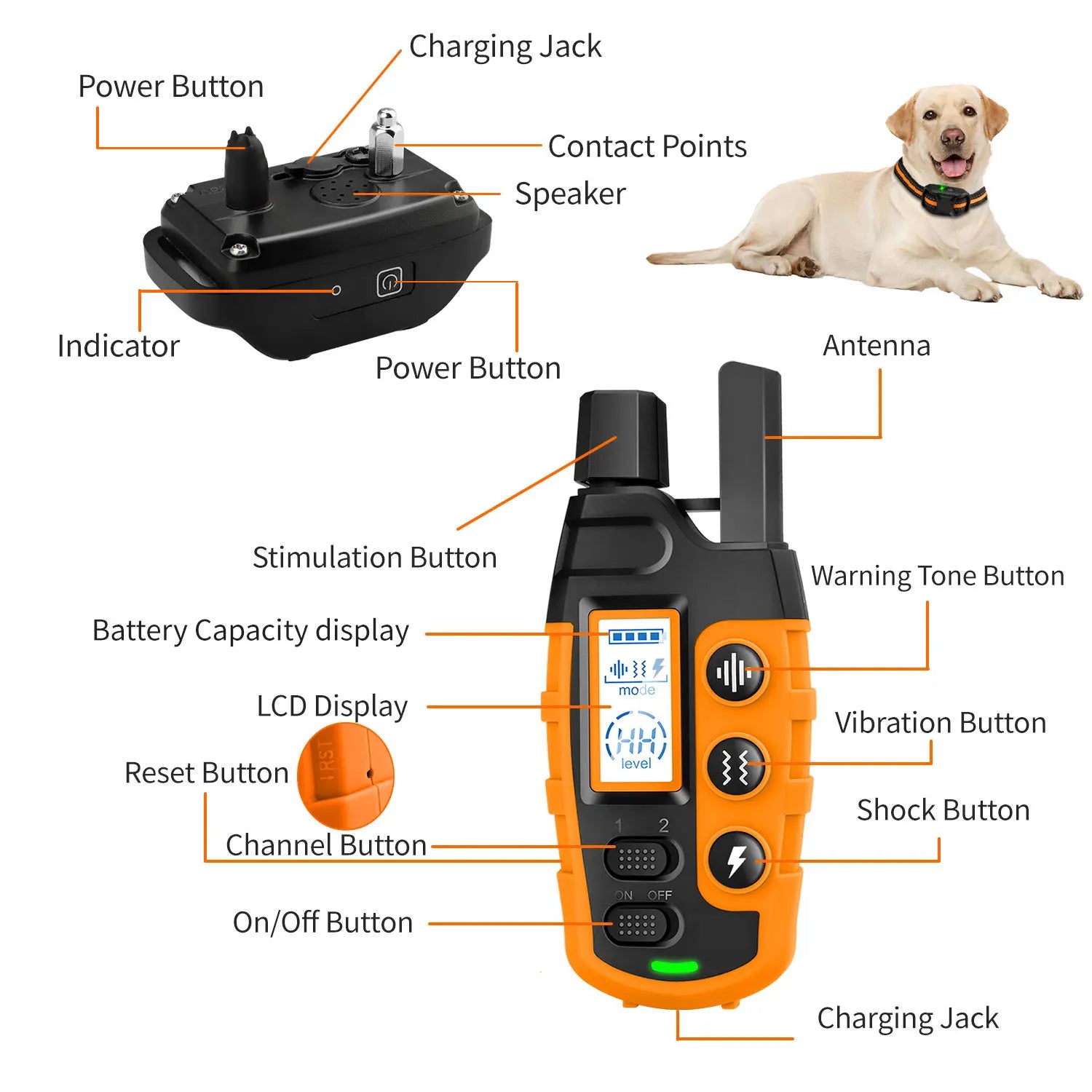 Electric Dog Training Collar