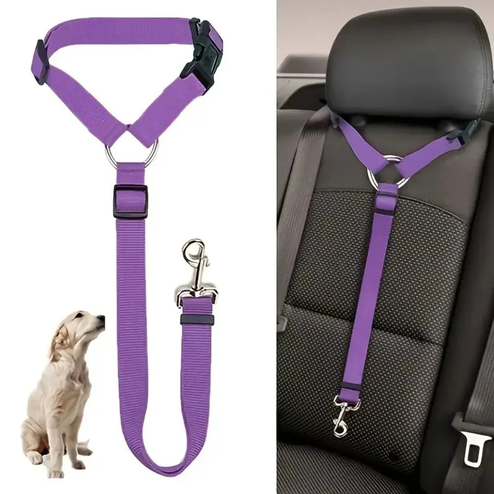 Cat Car Seat Belt