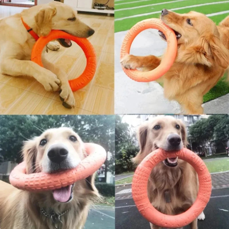 Pet Flying Training Ring