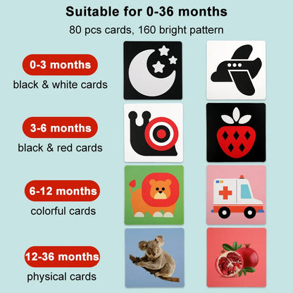 Baby Visual Stimulation Cards