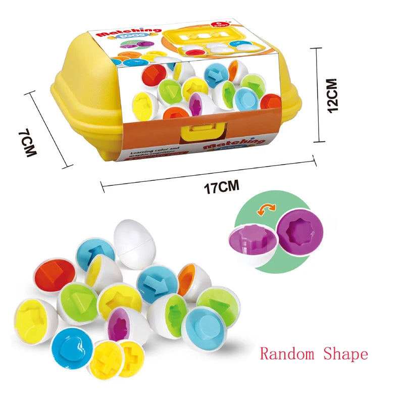 Baby Eggs Math Puzzle Toy