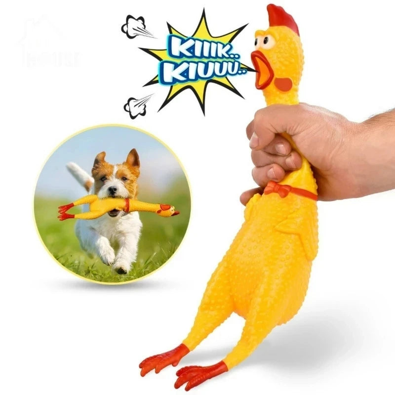 Dog Screaming Chicken Toy