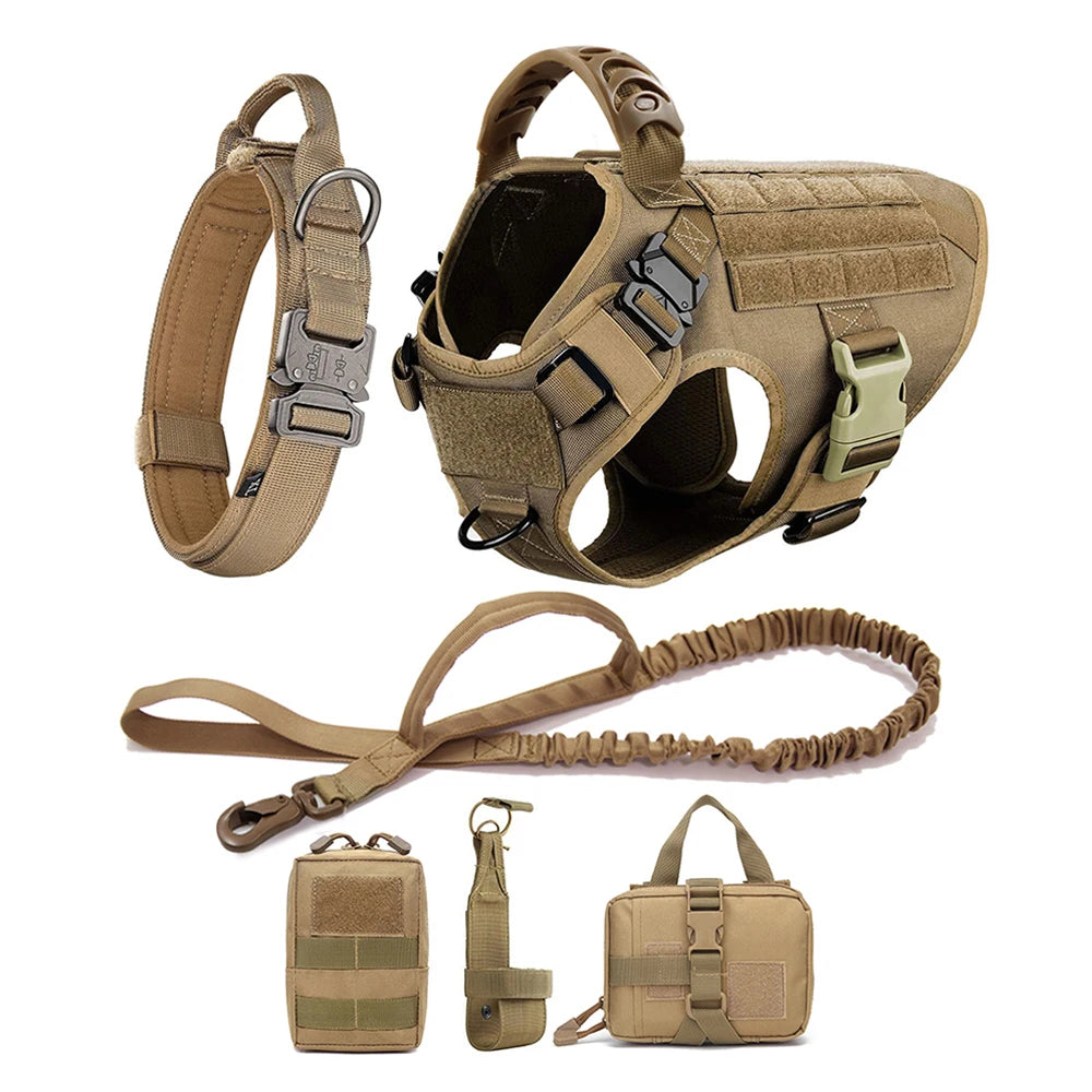 Dog Malinois Harness Leash Set