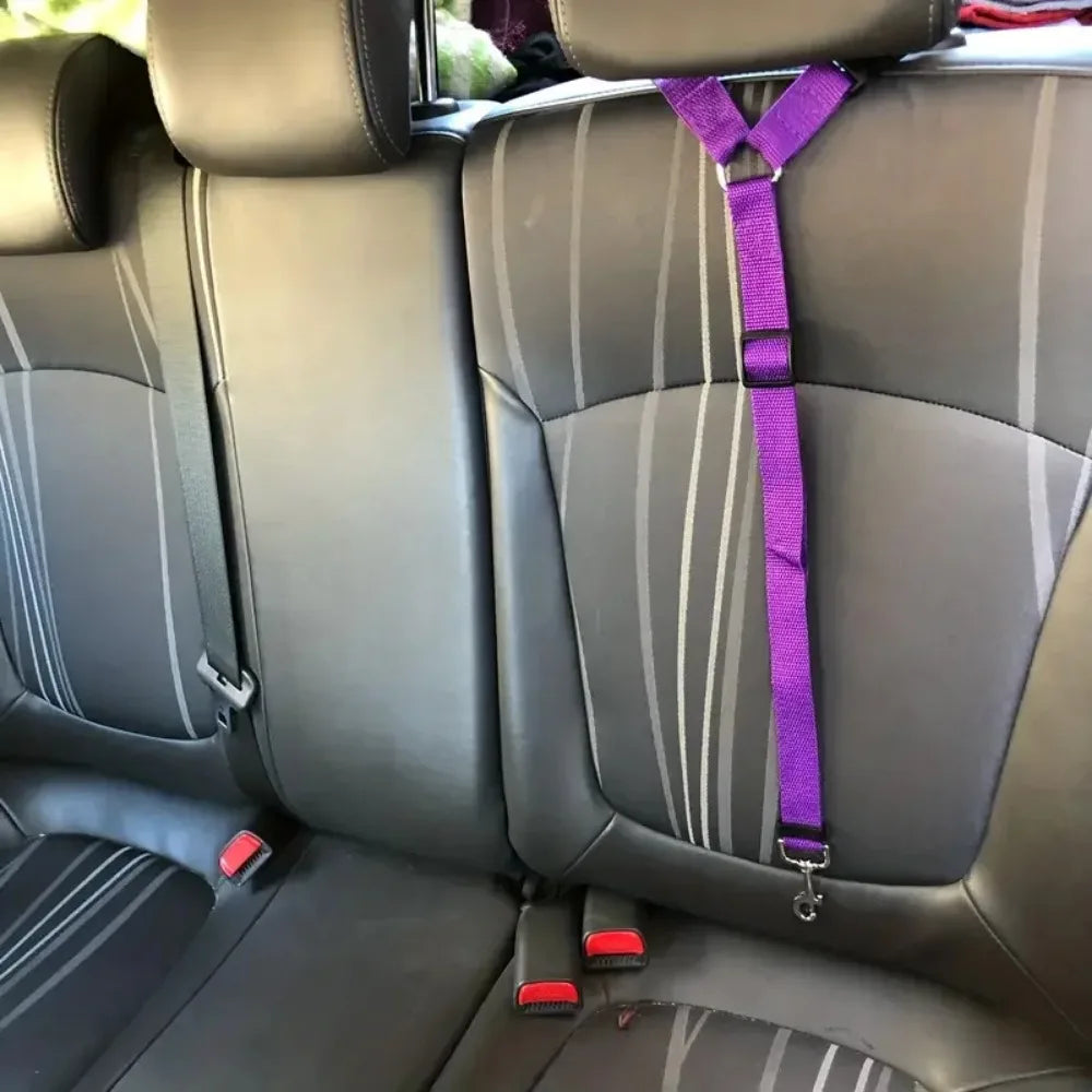 Cat Car Seat Belt